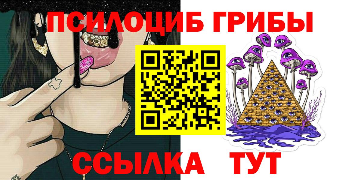 Галлюциногенные грибы Psilocybe  Вход с VPN  Энгельс 