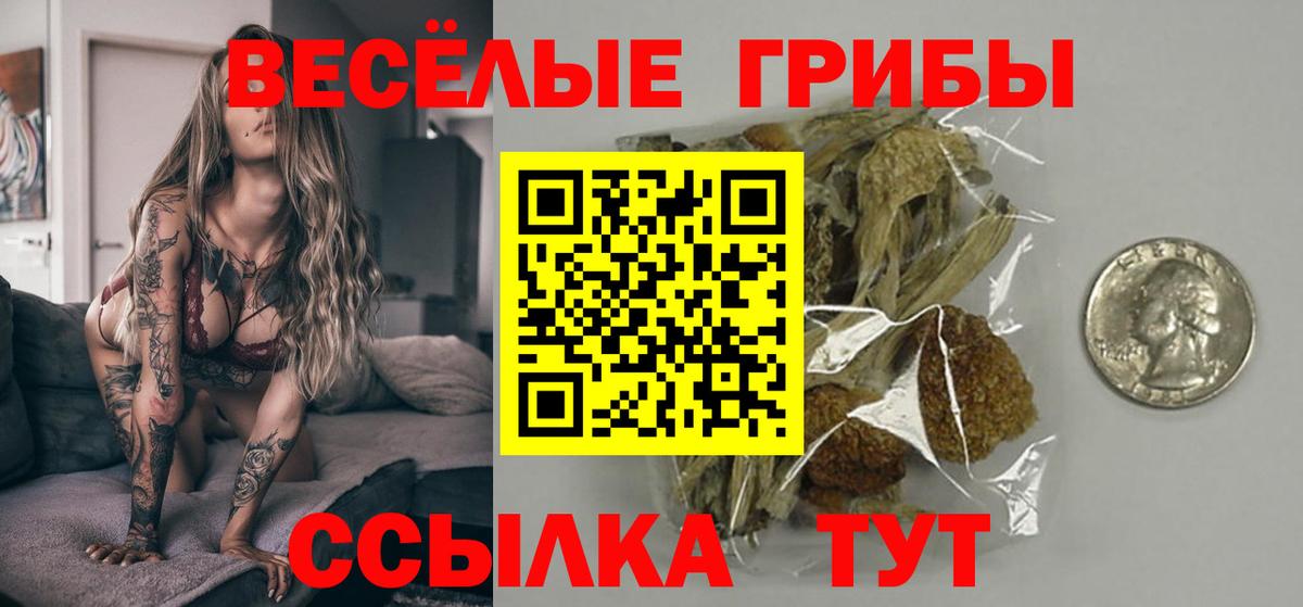 Псилоцибиновые грибы Magic Shrooms Энгельс